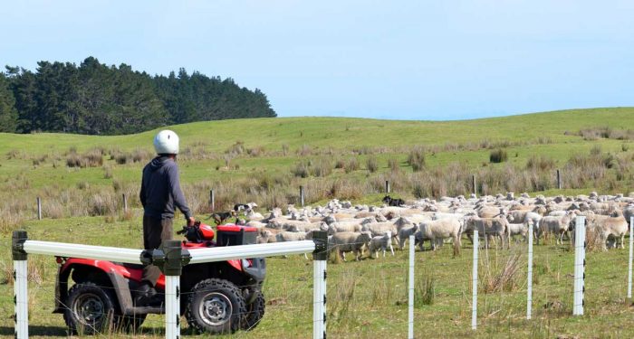 Maintenance PVC Rail Fencing for Your New Zealand Farm or Property