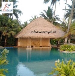 Traditional Reed Thatch Roof for Natural and Rustic Charm