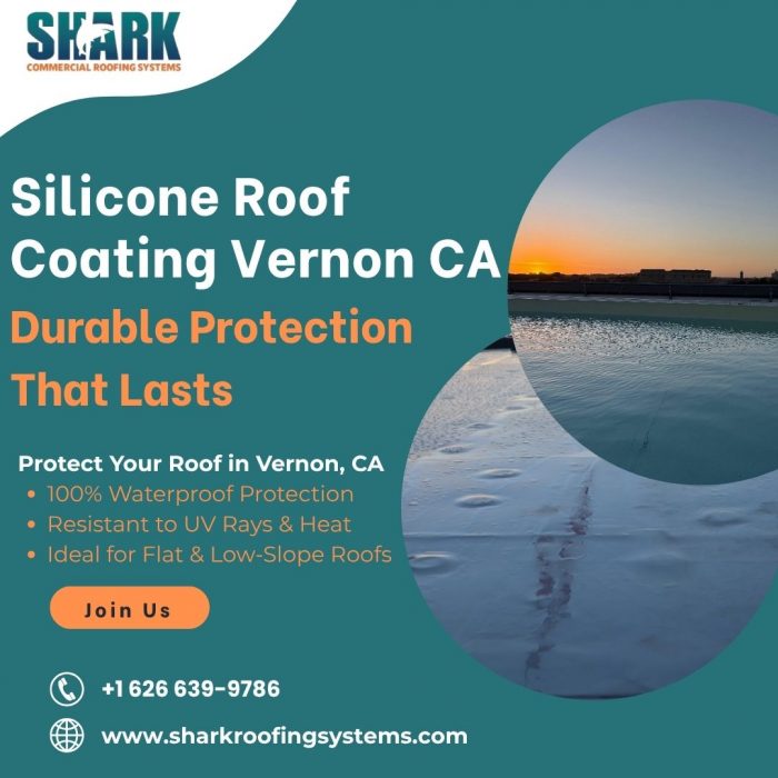Silicone Roof Coating Vernon CA – Durable Protection That Lasts