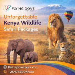 Unforgettable Kenya Wildlife Safari Packages