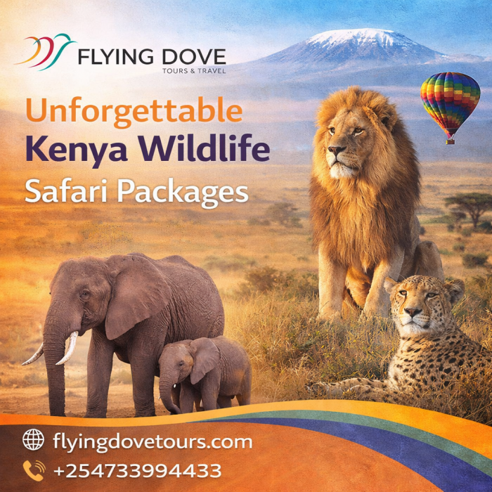 Unforgettable Kenya Wildlife Safari Packages