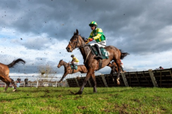 Poonawalla Stud Farm Breeding Excellence And Thoroughbred Heritage