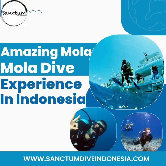Amazing Mola Mola Dive Experience in Indonesia