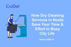 How Dry Cleaning Services in Noida Save Your Time and Effort in Busy City Life