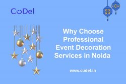 Why Choose Professional Event Decoration Services in Noida