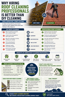 Roof Cleaning Professionals vs DIY Cleaning Comparison Infographic