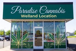 Cannabis Store Welland Location – Paradise Cannabis