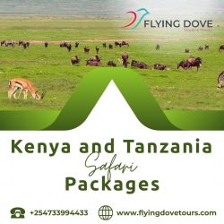 Kenya and Tanzania Safari Packages