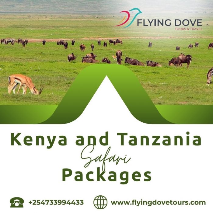 Kenya and Tanzania Safari Packages