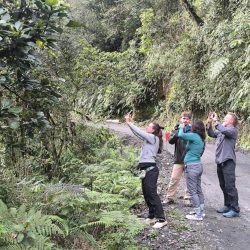 Manu Wildlife Peru Tour – Discover the Heart of the Amazon Rainforest