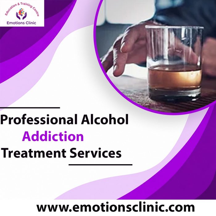 Professional Alcohol Addiction Treatment Services