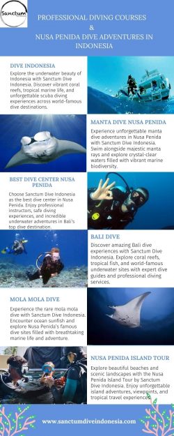 Professional Diving Courses & Nusa Penida Dive Adventures in Indonesia