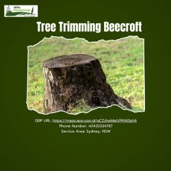 Tree Trimming Beecroft