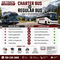 Charter Bus vs Regular Bus: Which Is Better for Group Travel in Alberta?