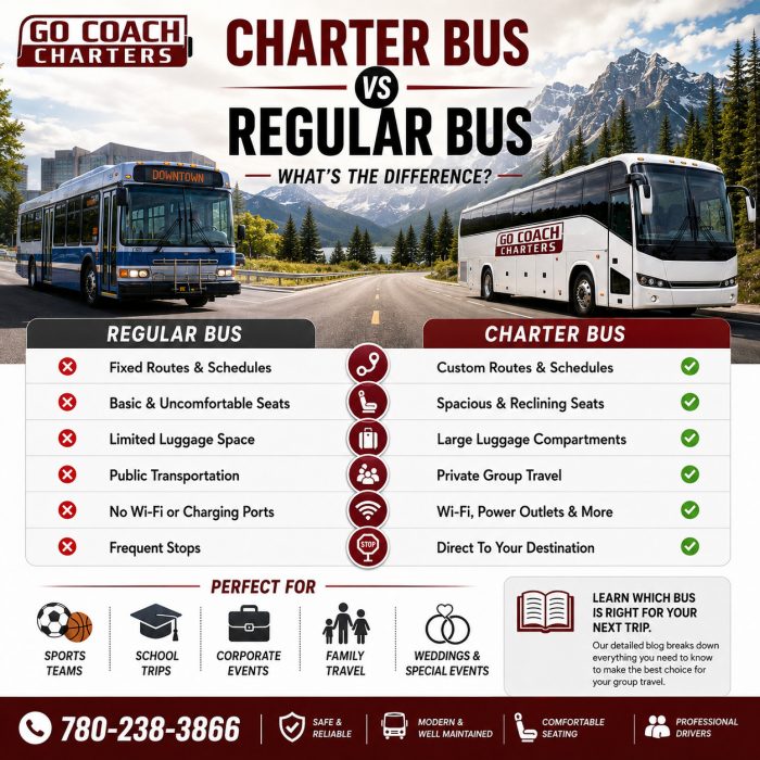Charter Bus vs Regular Bus: Which Is Better for Group Travel in Alberta?