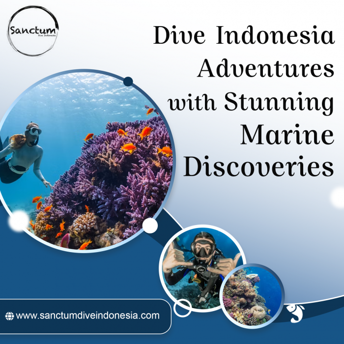 Dive Indonesia Adventures with Stunning Marine Discoveries
