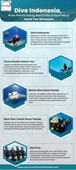 Dive Indonesia, Nusa Penida Diving, Manta Ray Encounters & Island Tour Adventures