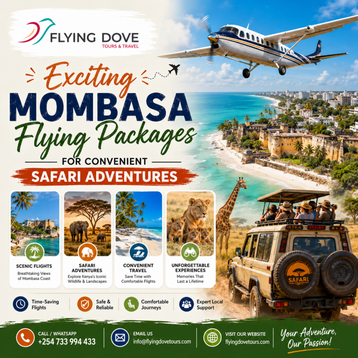 Exciting Mombasa Flying Packages for Convenient Safari Adventures