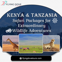 Kenya and Tanzania Safari Packages for Extraordinary Wildlife Adventures