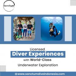 Licensed Diver Experiences with World-Class Underwater Exploration