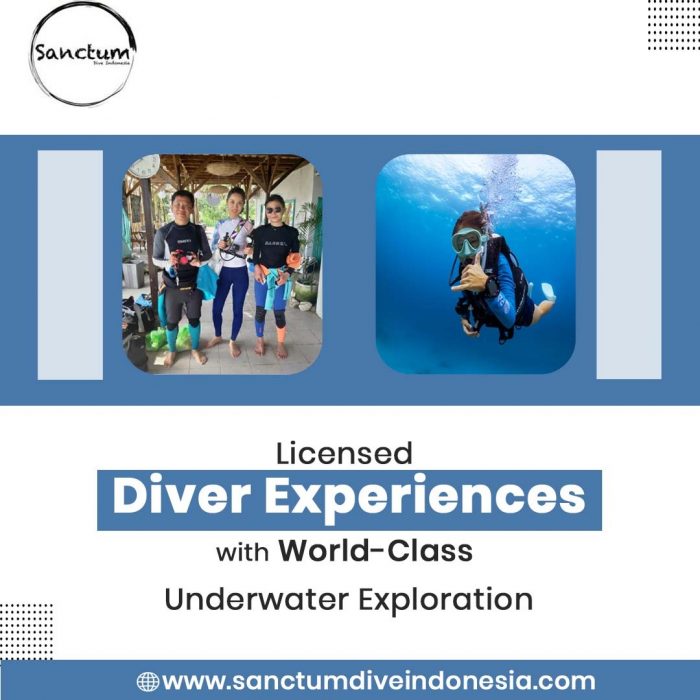 Licensed Diver Experiences with World-Class Underwater Exploration
