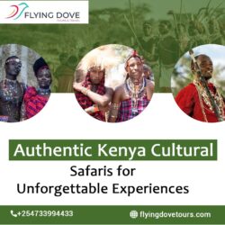 Authentic Kenya Cultural Safaris for Unforgettable Experiences