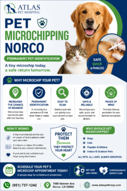 Pet Microchipping Norco | Permanent Pet Identification | Atlas Pet Hospital