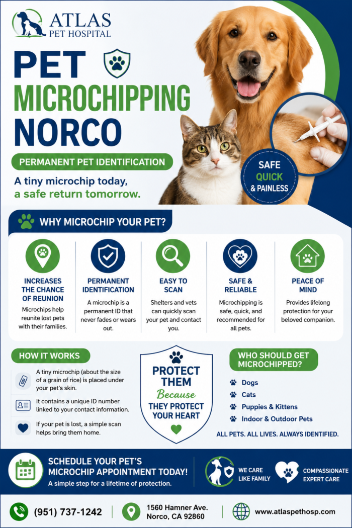 Pet Microchipping Norco | Permanent Pet Identification | Atlas Pet Hospital