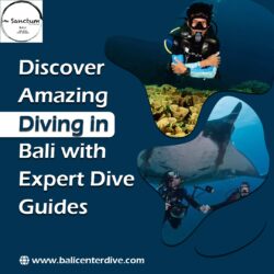 Discover Amazing Diving in Bali with Expert Dive Guides