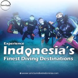 Experience Indonesia’s Finest Diving Destinations