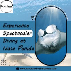 Experience Spectacular Diving at Nusa Penida
