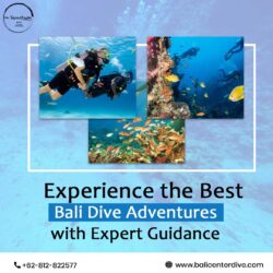 Experience the Best Bali Dive Adventures with Expert Guidance