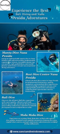 Experience the Best Bali Diving and Nusa Penida Adventures