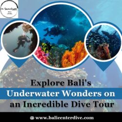 Explore Bali’s Underwater Wonders on an Incredible Dive Tour