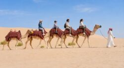 Best Camel Trekking Abu Dhabi Experience at Affordable Prices