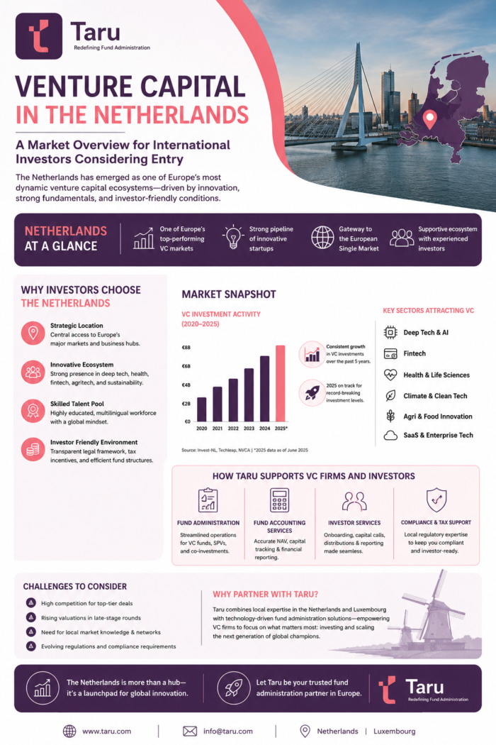 Why Investors Choose Venture Capital in the Netherlands