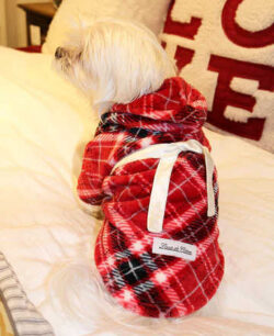 Best Robes for Dogs That Keep Your Pup Cozy All Day