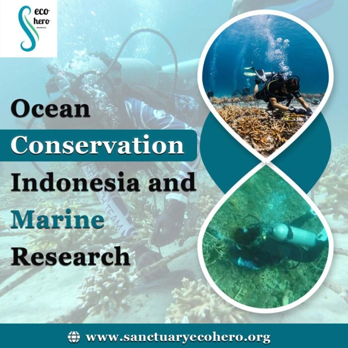 Ocean Conservation Indonesia and Marine Research