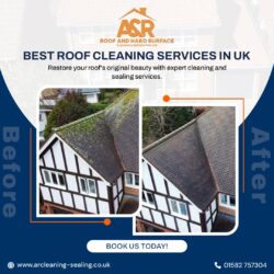Roof Cleaning Services That Protect Your Home