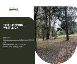 Tree Lopping Westleigh