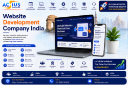 Professional Website Development Services India