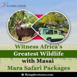 Witness Africa’s Greatest Wildlife with Masai Mara Safari Packages