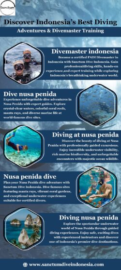 Discover Indonesia’s Best Diving Adventures & Divemaster Training
