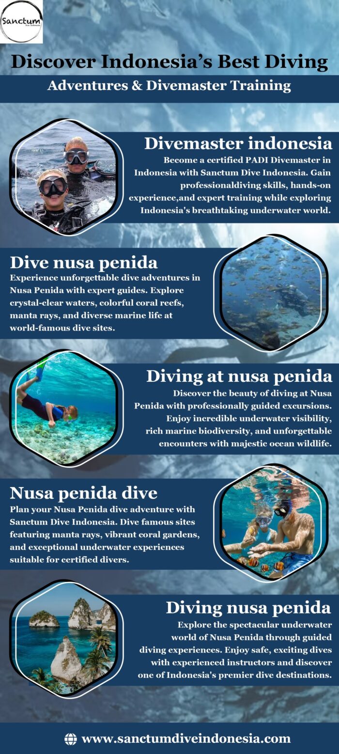 Discover Indonesia’s Best Diving Adventures & Divemaster Training