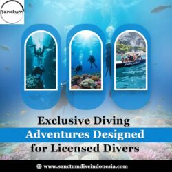 Exclusive Diving Adventures Designed for Licensed Divers