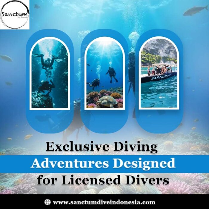 Exclusive Diving Adventures Designed for Licensed Divers