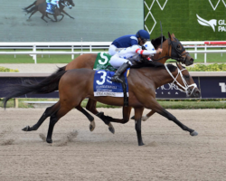 Exploring the Heritage and Importance of Madras Race Club in Indian Horse Racing