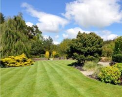 Landscaping Services Sydney for Beautiful Outdoor Spaces