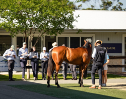Mysore Race Club: Races, Best Visiting Time and Key Attractions