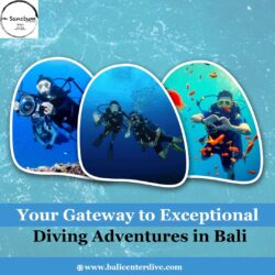 Your Gateway to Exceptional Diving Adventures in Bali